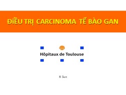 Bài giảng Điều trị carcinoma tế bào gan