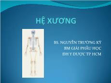 Bài giảng Giải phẫu học - Hệ xương - Nguyễn Trường Kỳ