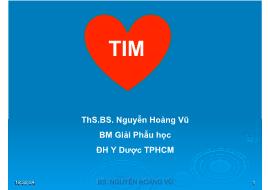 Bài giảng Giải phẫu học - Tim - Nguyễn Hoàng Vũ