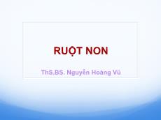 Bài giảng Giải phẫu - Ruột non - Nguyễn Hoàng Vũ