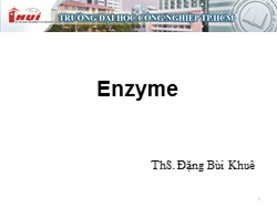 Bài giảng Phụ gia thực phẩm - Enzyme - Đặng Bùi Khuê