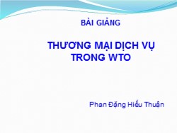 Bài giảng Thương mại dịch vụ trong WTO - Phan Đặng Hiếu Thuận
