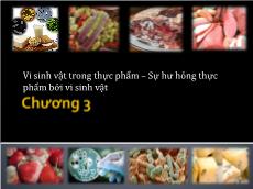 Bài giảng Vi sinh - Chương 3: Vi sinh vật trong thực phẩm – Sự hư hỏng thực phẩm bởi vi sinh vật