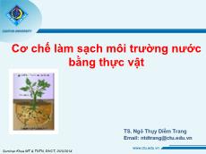 Bài giảng Cơ chế làm sạch môi trường nước bằng thực vật - Ngô Thụy Diễm Trang