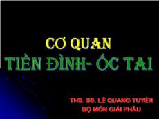 Bài giảng Cơ quan tiền đình - ốc tai - Lê Quang Tuyền