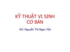 Bài giảng Kỹ thuật vi sinh cơ bản - Nguyễn Thị Ngọc Yến
