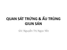 Bài giảng Quan sát trứng và ấu trùng giun sán - Nguyễn Thị Ngọc Yến