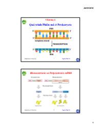 Bài giảng Sinh học phần tử - Chương 4: Quá trình phiên mã prokaryote - Nguyễn Hữu Trí