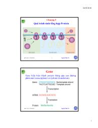 Bài giảng Sinh học phần tử - Chương 5: Quá trình sinh tổng hợp protein - Nguyễn Hữu Trí