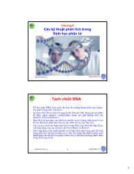Bài giảng Sinh học phần tử - Chương 8: Các kỹ thuật phân tích trong sinh học phân tử - Nguyễn Hữu Trí