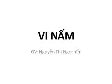 Bài giảng Vi nấm - Nguyễn Thị Ngọc Yến